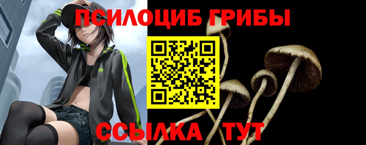 Псилоцибиновые грибы Magic Shrooms Иркутск